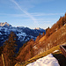 Morgenlicht bei der Alp Laubegg