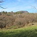Il Campo dei Fiori da Bregazzana.