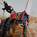 Typischer Tuaregsattel des Hoggar.
