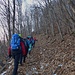 si sale nel bosco