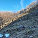 Sentiero che dall'Alpe Bolla va verso il Pian di Scagn