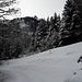 Winterlicher Blick von der Plätzlehütte zu den 'Drei Schwestern'.