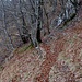 Sentiero Passo Stretto - Alpe di Cima