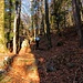 Alpe Serte Nuova