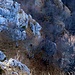 Paolo ci aspetta sul cucuzzolo  Q1241, vista sul sentiero Passo Stretto - Alpe di Cima