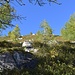 in uscita dal bosco