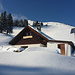 Alp Tristeli