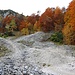 Aufstieg ins Kar