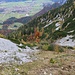 Aufstieg zum Sattel