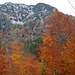herbstliche Nordseite