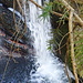 Cascata