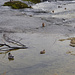 In ruhigerem Fahrwasser