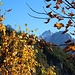Herbstlicher Blick zu den Loferer Steinbergen.