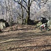 Da buoni viziosi, sosta aperitivo con chardonnay e patatine all’Alpe Color (m 1.100 ) ormai fagocitata dal bosco, prima di affrontare gli ultimi 450 m di dislivello, sempre nel bosco. Quando si arriva alla prima baita (quella a sinistra nella foto), bisogna dirigersi a destra, dove si incontrano di nuovo i bolli rossi che indicano la giusta direzione da seguire verso monte.