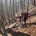 Dopo l’Alpe Color inizia un lungo traverso verso destra con buona pendenza, in un bellissimo bosco di faggi. Qui abbiamo fatto fatica a salire,  perché si scivolava spesso sulle foglie secche.