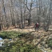 Terminato il pranzo è ora di rituffarsi nel bosco per ritornare a valle, sempre guardando i bolli rossi sulle piante, che però in discesa abbiamo individuato meglio. Ritorno molto veloce, tanto che impiegheremo solo un’ora per arrivare al Rio Pianezzoli.