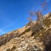 Sonnig, aber oft eisig: der Aufstieg zur Cima della Trosa