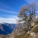 Herbstlicher Winter