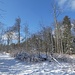 wunderbares Winterwandern auf dem flachen Gratrücken ...