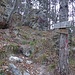 attacco della via