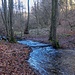 Furt am Weidenbach
