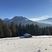 Die Weiden der Schwarzenbergalm