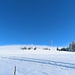 Ein strahlend blauer Himmel über uns