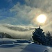 Beim Kaffeehalt im Wintergarten beobachteten wir so eine Art Föhnwalze. Im Lee des Ostwindes (Bise) kommen nur noch einzelne Nebelschwaden an und weiter westlich ist es wolken- und nebelfrei. Man muss also nicht in das Hochgebirge fahren, um solch ein Wetterphänomen zu erleben.<br /><br />[https://f.hikr.org/files/3506238.jpg Originalgröße]<br /><br />