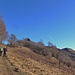 inzia la cresta