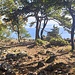Während des Abstiegs zur Kapelle Sveti Mikul