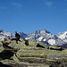 Ormai in cima al Pizzo Castello.