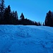 <b>La scelta sbagliata (la carta scialpinistica 267 S suggerisce l’altro percorso) allunga il tempo di salita di un quarto d’ora e mi crea un affaticamento superiore. <br />Dopo venti minuti di salita cala il silenzio. Gli unici rumori sono quelli degli sci che sfregano sulla neve associati a quelli dei rametti che strusciano sullo zaino. A circa 1800 m di quota esco dalla foresta; finalmente inizia il pascolo aperto di Räzünscheralp. </b>
