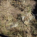 Blick von der Via Panella ins Tal (Sentiero Communale)