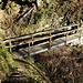 die erste Brücke