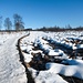 unter dem Schnee ist das Moor
