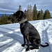 Hugo