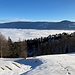 auf der Lichtung bei P. 958 Blick zur ersten Jurakette