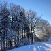 ... von der prächtigen Sonnen-Winterstimmung