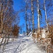 ... des Riedenberges
