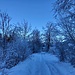 dem Grossbach entlang durch eine winterliche Umgebung