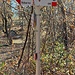 Direzione Vobarno