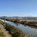 Lagune