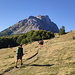 Auf dem Weg vom Eko Katun Richtung Katun Vulića
