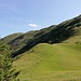 ...links, ins  Licht, nach  Hahnleskopf,2210m,  halbe  Stunde  von  hier.