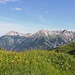 Unten grün, oben noch blau, die wunderschönen Allgäuer Alpen dazwischen, was   mann  will  mehr?