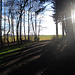 Schatten, Shilouette, Charme