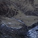 Cima della Trosa : zoom sull'Alpe Bietri