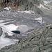 Blick vom Platthorn auf den Übergang "Furggji" und den Hohlichtgletscher