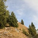 Schlußspurt