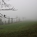 Suppe